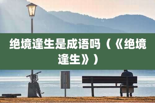 绝境逢生是成语吗（《绝境逢生》）