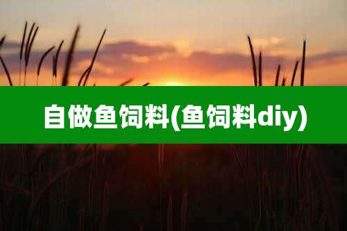 自做鱼饲料(鱼饲料diy)
