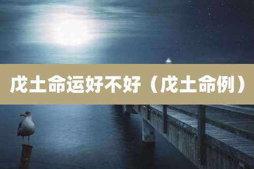 戊土命运好不好（戊土命例）