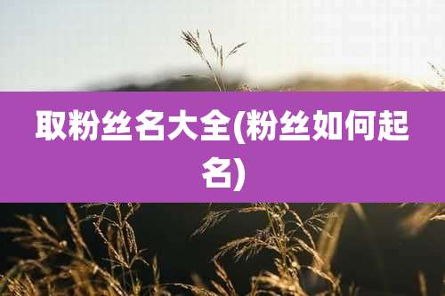 取粉丝名大全(粉丝如何起名)