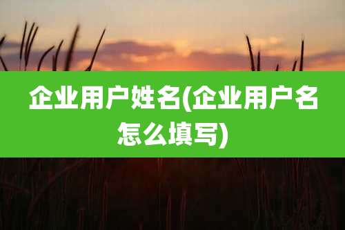 企业用户姓名(企业用户名怎么填写)