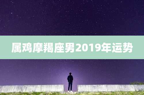 属鸡摩羯座男2019年运势