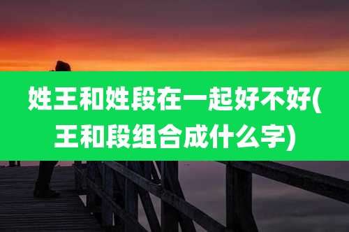 姓王和姓段在一起好不好(王和段组合成什么字)