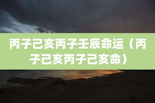 丙子己亥丙子壬辰命运（丙子己亥丙子己亥命）