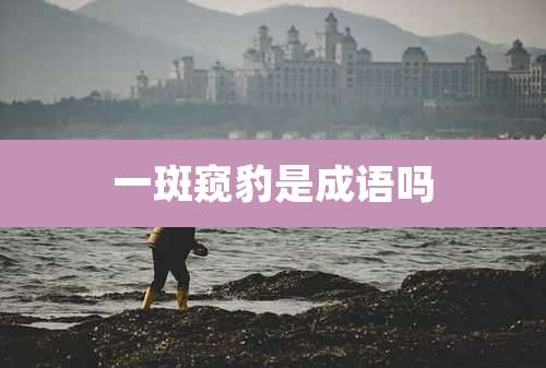 一斑窥豹是成语吗