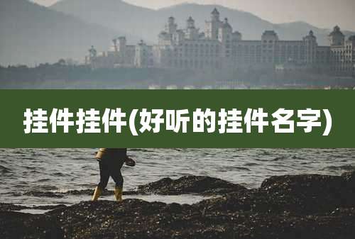 挂件挂件(好听的挂件名字)