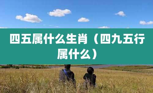 四五属什么生肖（四九五行属什么）