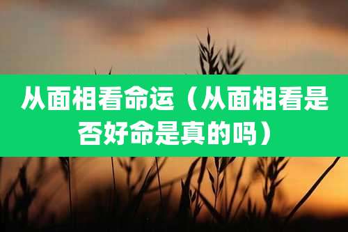 从面相看命运(从面相看是否好命是真的吗)