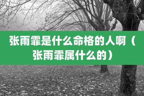 张雨霏是什么命格的人啊(张雨霏属什么的)