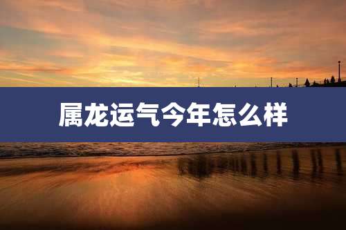 属龙运气今年怎么样