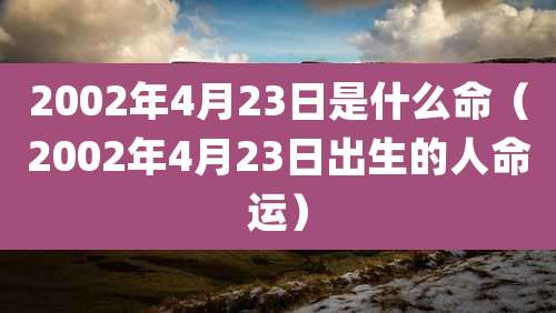 2002年4月23日是什么命（2002年4月23日出生的人命运）