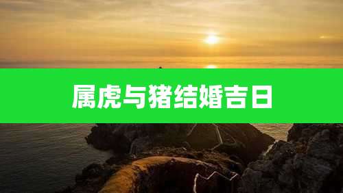 属虎与猪结婚吉日