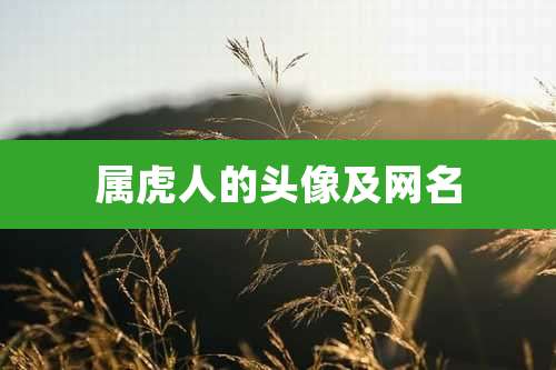 属虎人的头像及网名