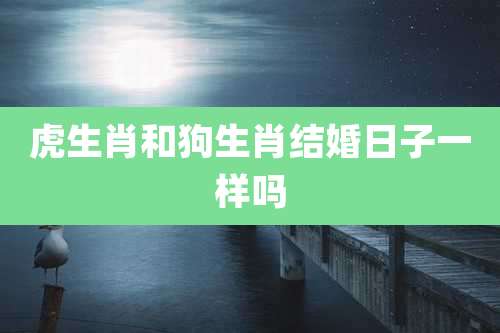 虎生肖和狗生肖结婚日子一样吗