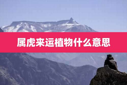 属虎来运植物什么意思