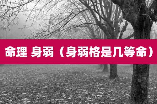 命理 身弱(身弱格是几等命)