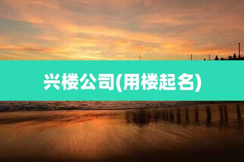 兴楼公司(用楼起名)