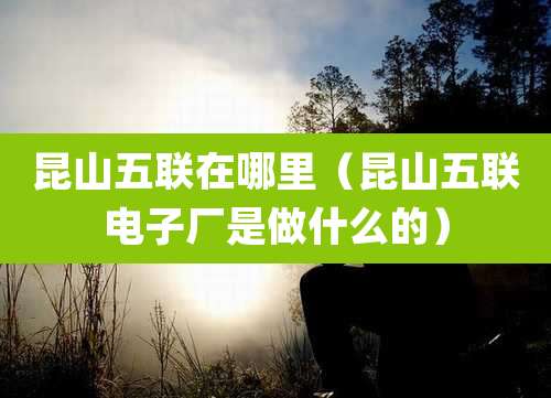 昆山五联在哪里(昆山五联电子厂是做什么的)
