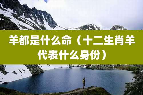 羊都是什么命(十二生肖羊代表什么身份)