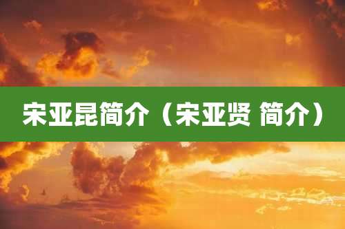 宋亚昆简介(宋亚贤 简介)