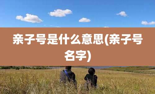 亲子号是什么意思(亲子号名字)