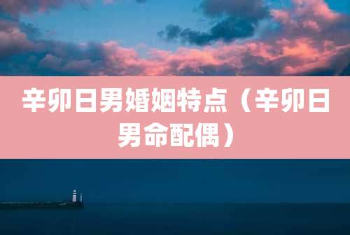 辛卯日男婚姻特点(辛卯日男命配偶)
