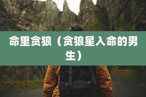 命里贪狼(贪狼星入命的男生)