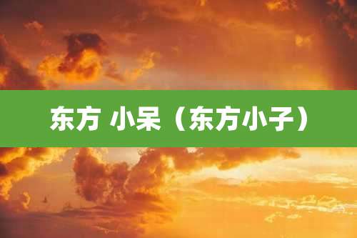 东方 小呆(东方小子)