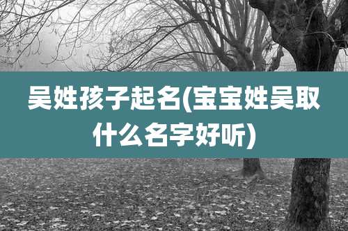 吴姓孩子起名(宝宝姓吴取什么名字好听)
