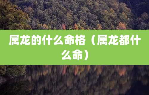 属龙的什么命格(属龙都什么命)