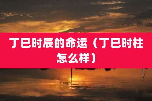 丁巳时辰的命运(丁巳时柱怎么样)