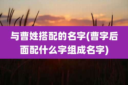 与曹姓搭配的名字(曹字后面配什么字组成名字)