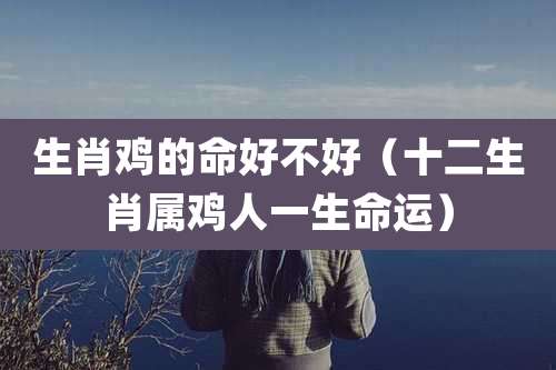 生肖鸡的命好不好(十二生肖属鸡人一生命运)