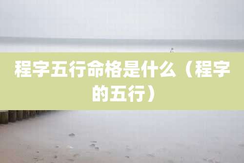 程字五行命格是什么(程字的五行)