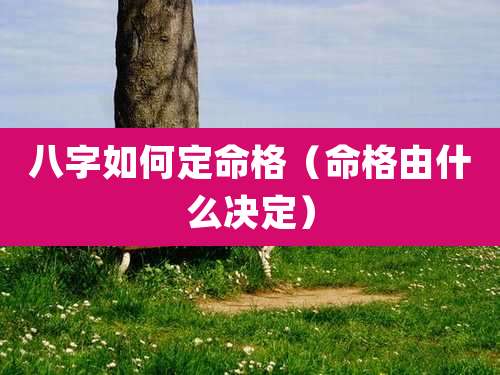 八字如何定命格(命格由什么决定)