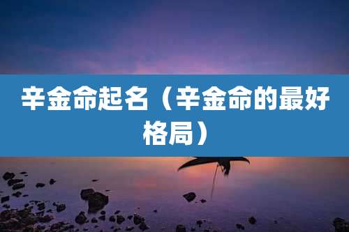辛金命起名(辛金命的最好格局)