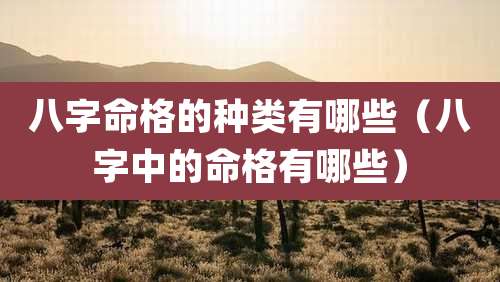 八字命格的种类有哪些(八字中的命格有哪些)