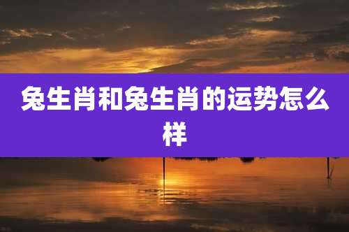 兔生肖和兔生肖的运势怎么样