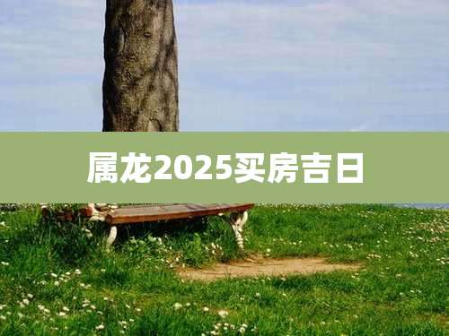 属龙2025买房吉日