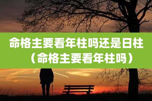 命格主要看年柱吗还是日柱(命格主要看年柱吗)