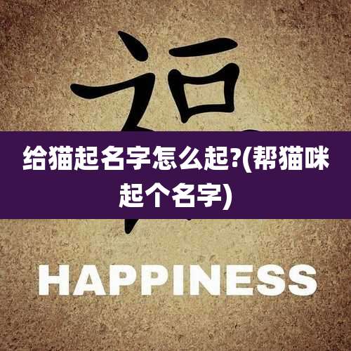 给猫起名字怎么起?(帮猫咪起个名字)