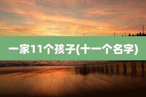 一家11个孩子(十一个名字)