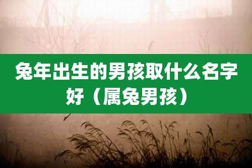 兔年出生的男孩取什么名字好(属兔男孩)