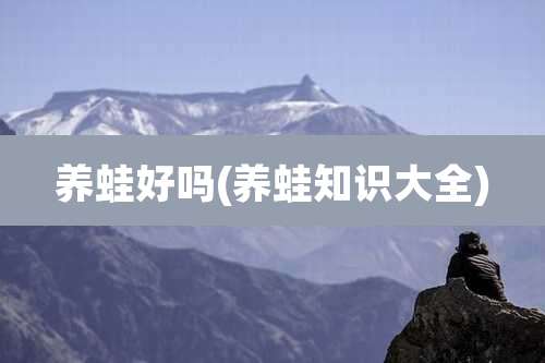 养蛙好吗(养蛙知识大全)