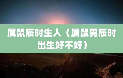 属鼠辰时生人(属鼠男辰时出生好不好)