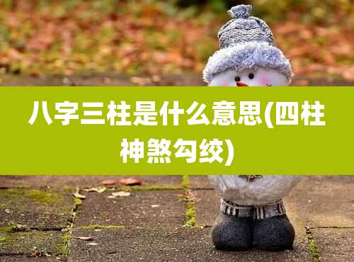 八字三柱是什么意思(四柱神煞勾绞)