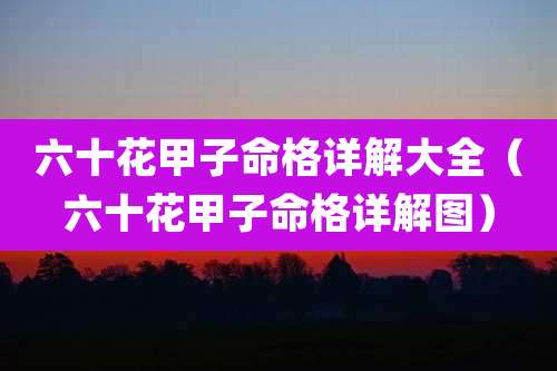 六十花甲子命格详解大全(六十花甲子命格详解图)