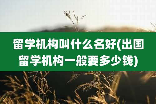 留学机构叫什么名好(出国留学机构一般要多少钱)