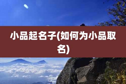小品起名子(如何为小品取名)