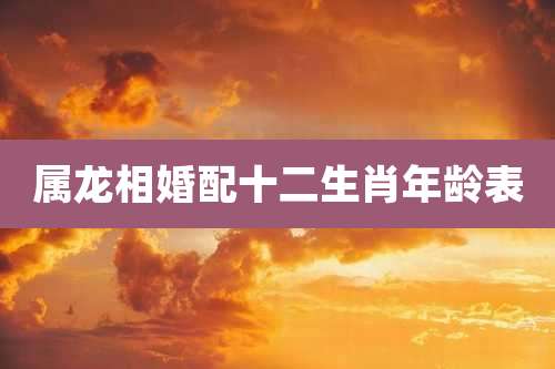 属龙相婚配十二生肖年龄表